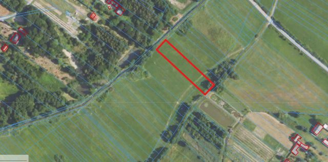 Działka rolna Wolica-Kolonia. Zdjęcie 1