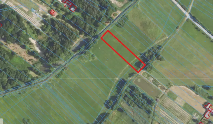 Działka rolna Wolica-Kolonia