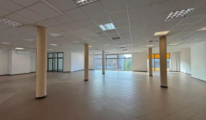 Lokal Piekary Śląskie, ul. Prymasa Stefana Wyszyńskiego