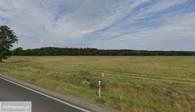 Działka inwestycyjna Czerna. Zdjęcie 1