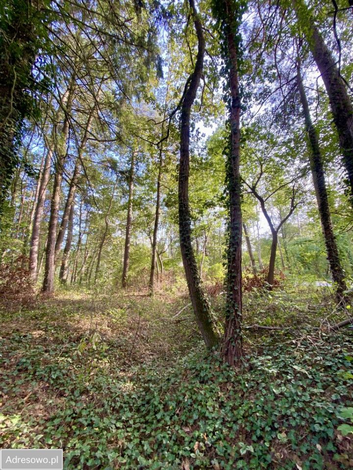 Działka budowlana Sokolniki-Las, ul. Prezydenta Gabriela Narutowicza. Zdjęcie 6