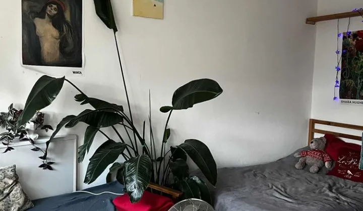 Mieszkanie 1-pokojowe Warszawa Wilanów