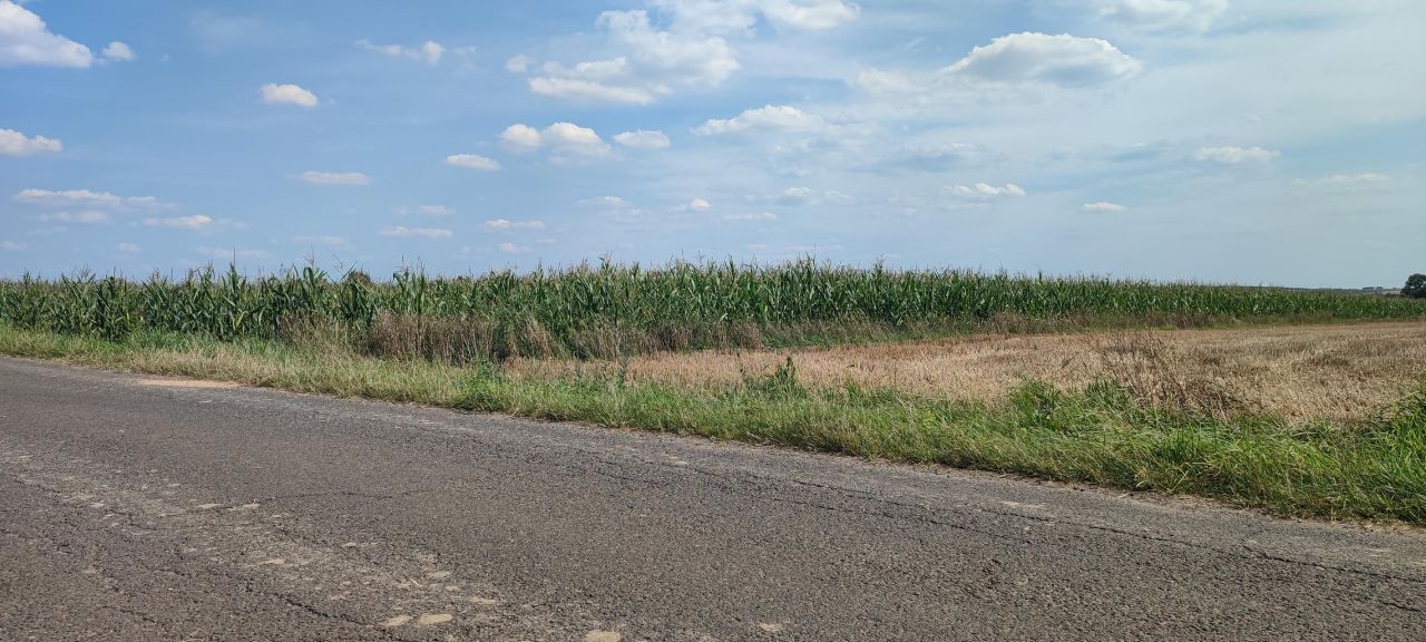 Działka rolno-budowlana Kołacinek. Zdjęcie 4