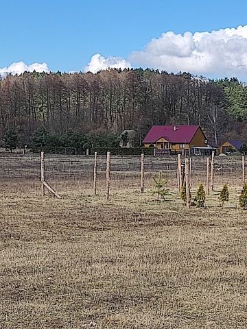 Działka budowlana Sąsieczno, ul. Adama Mickiewicza. Zdjęcie 5