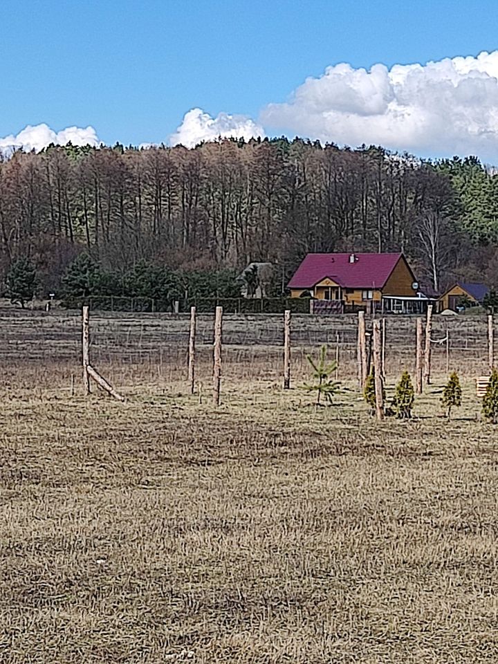 Działka budowlana Sąsieczno Miszek, ul. Adama Mickiewicza. Zdjęcie 5