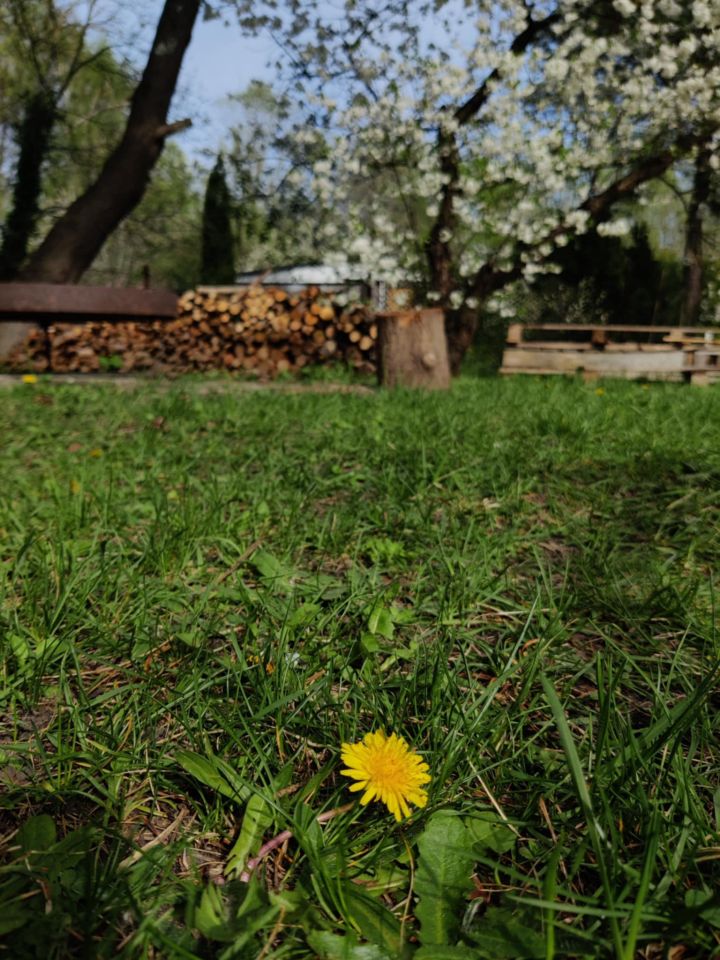 Działka rod Warszawa Włochy, ul. Paluch. Zdjęcie 8