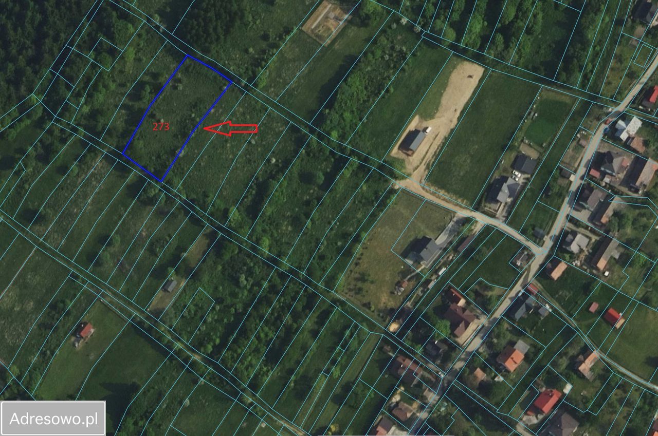 Działka rolna Mutne. Zdjęcie 5