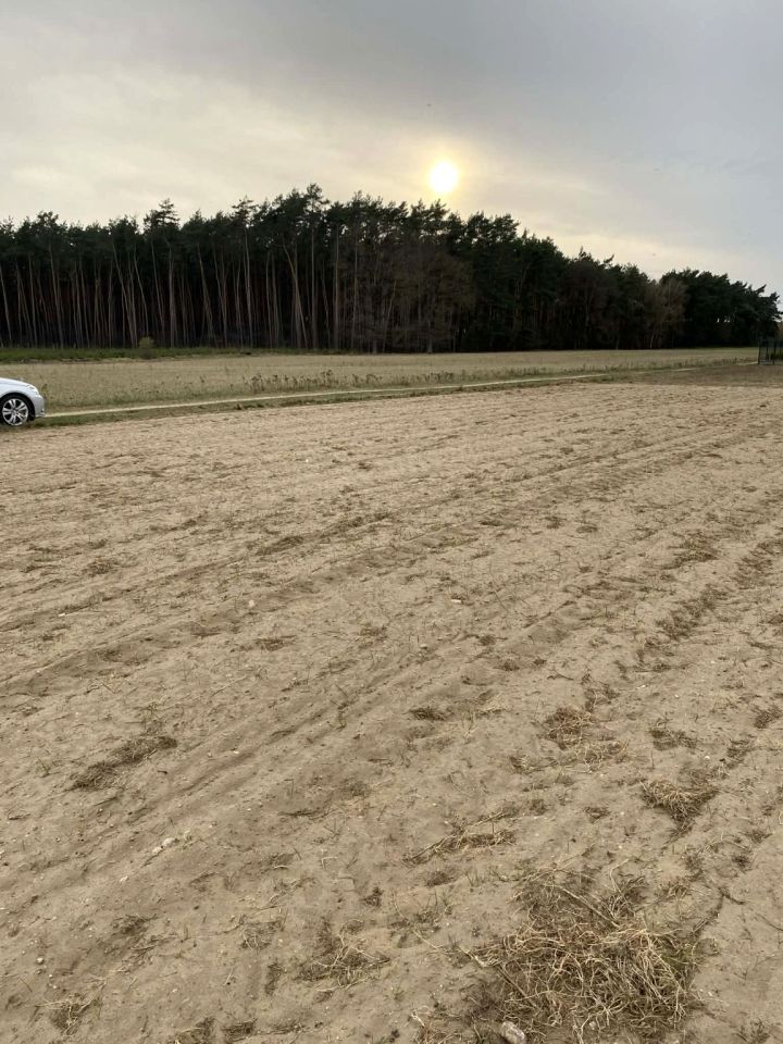 Działka budowlana Skrzynka. Zdjęcie 9
