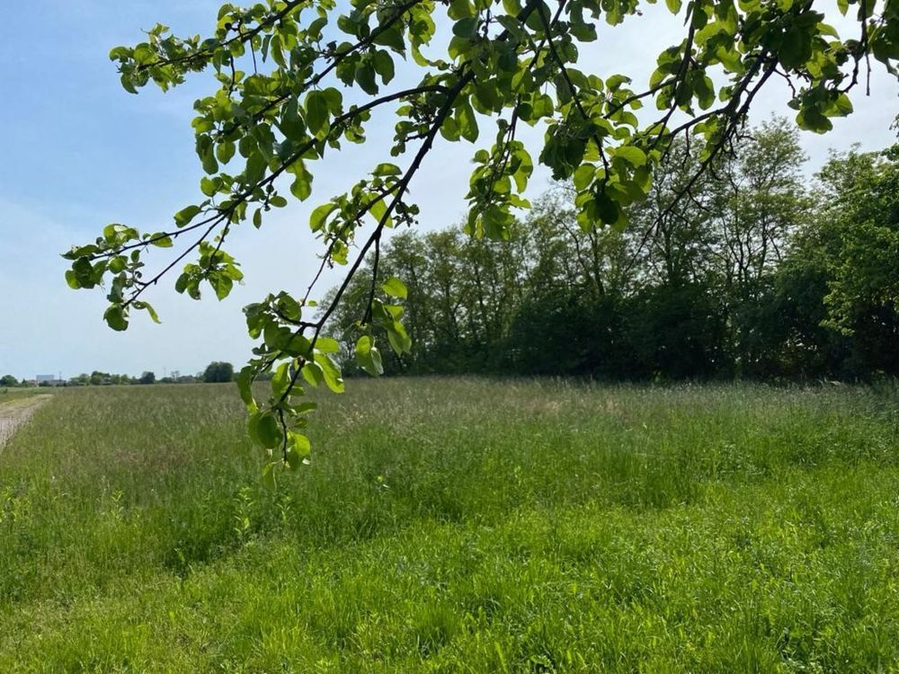 Działka budowlana Dąbrówka. Zdjęcie 8