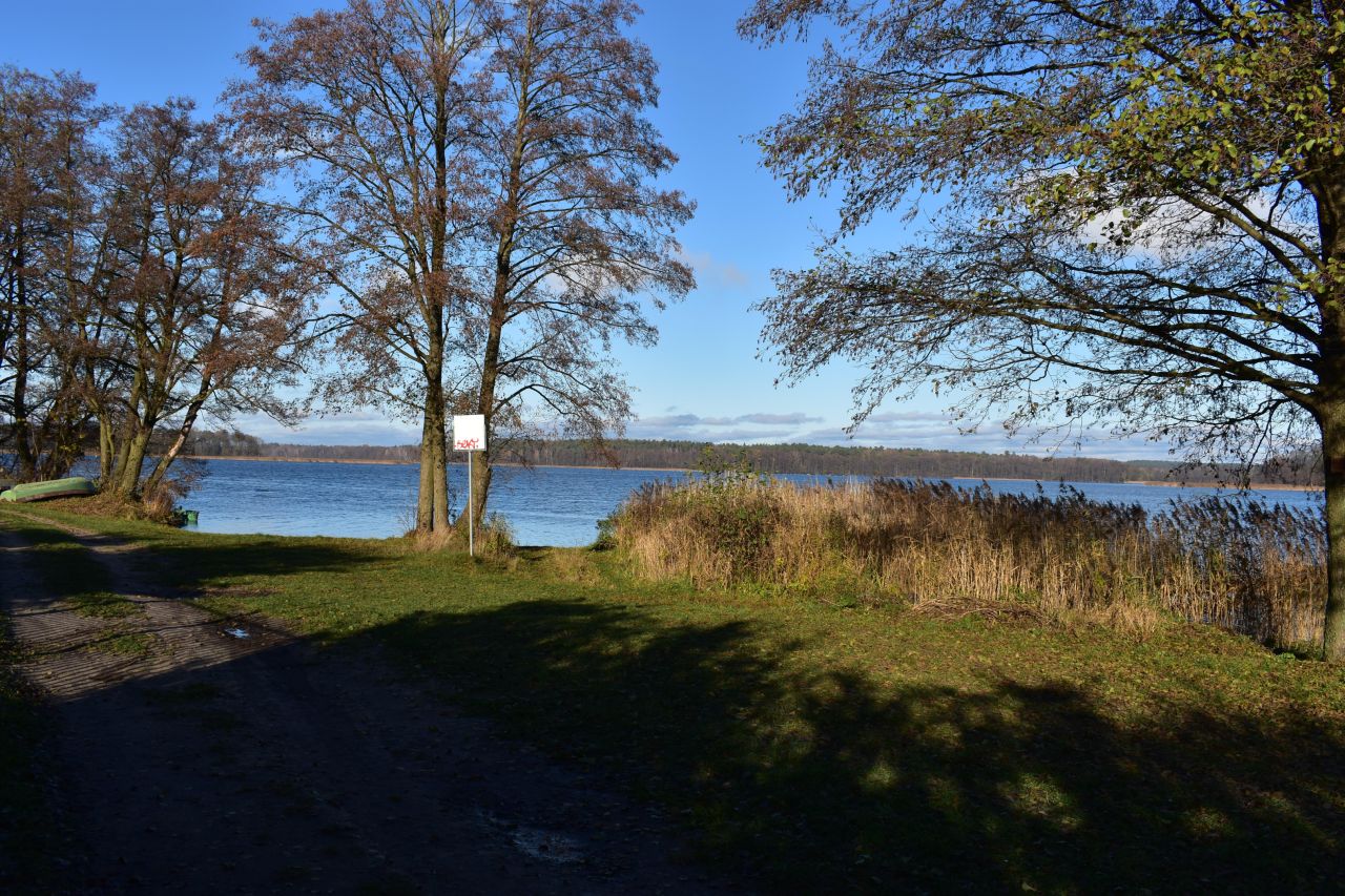 Działka rekreacyjna Dąbrówno, Wzgórze Letniskowe Dąbrowa. Zdjęcie 4