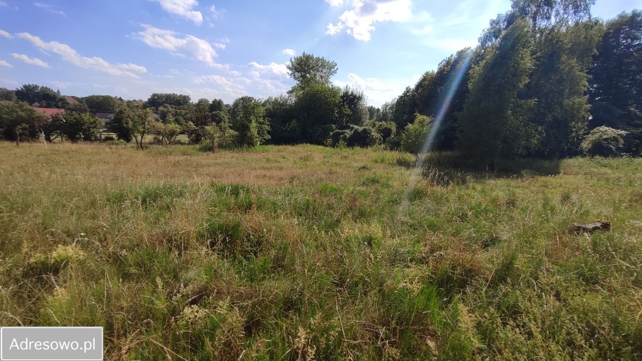 Działka rolna Zielona Góra Nowy Kisielin, ul. Nowy Kisielin-Dolna. Zdjęcie 8