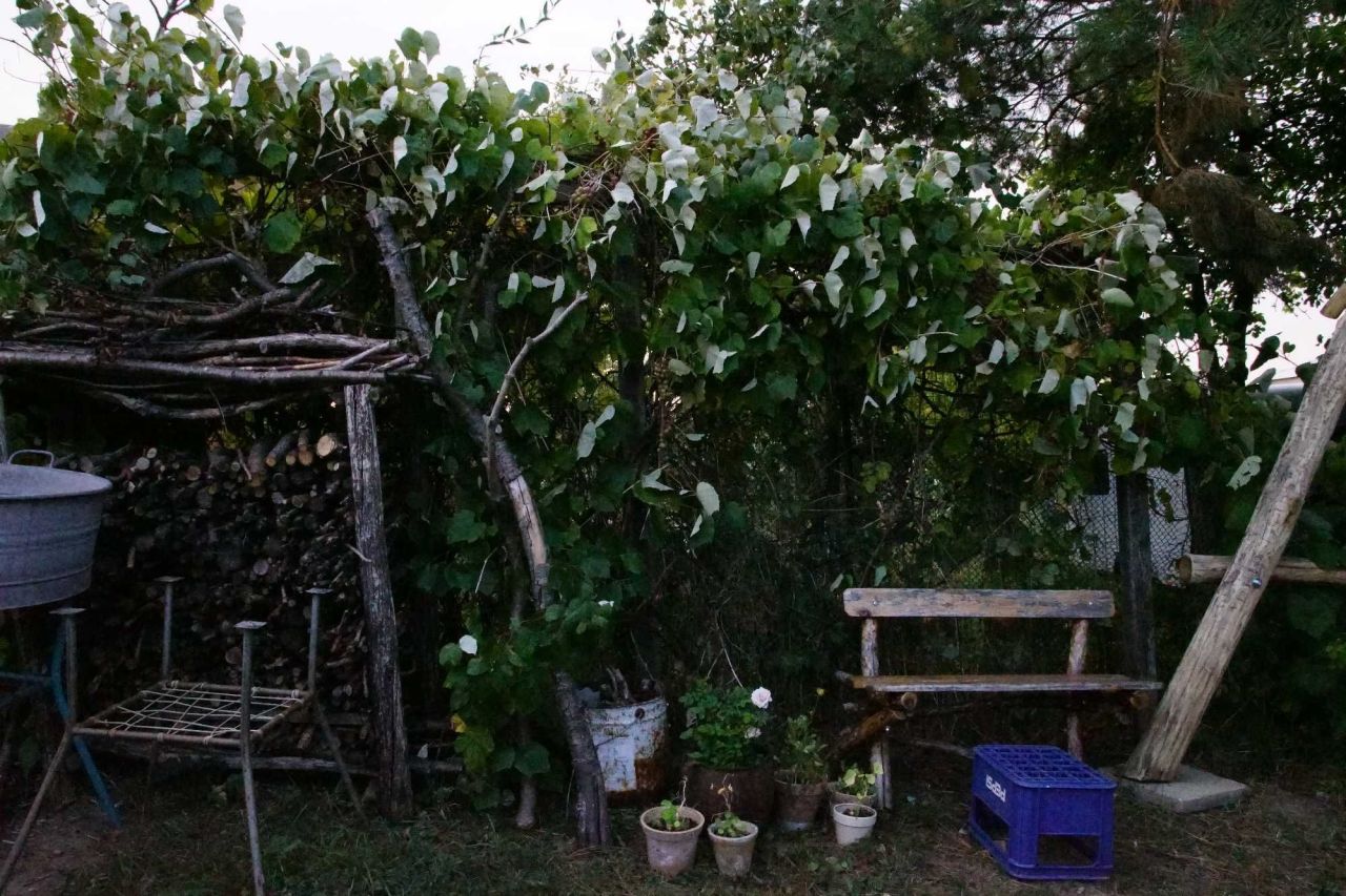 Działka rod Olecko. Zdjęcie 6