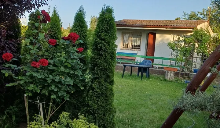 Działka rod Chodzież