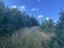 Działka budowlana Kiełpino, ul. Modrzewiowa. Zdjęcie 1
