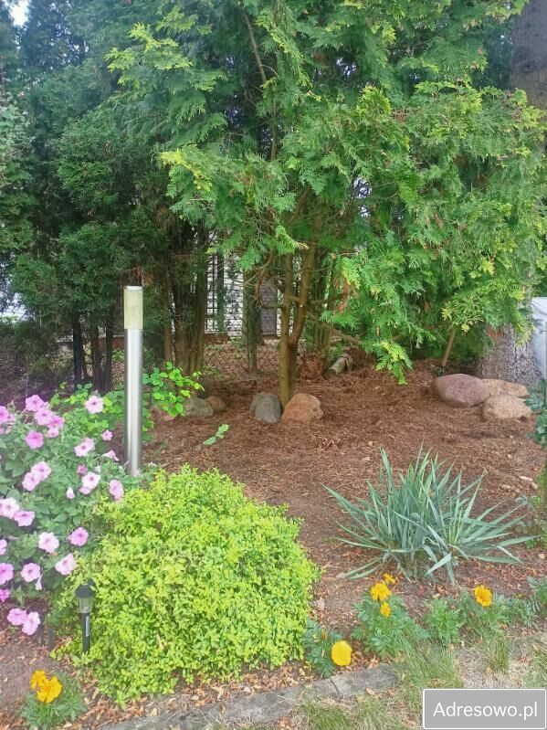 Działka rod Niewodnica Kościelna, ul. Działkowców. Zdjęcie 14