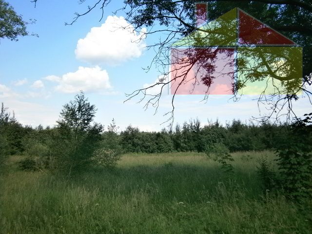 Działka inwestycyjna Lubomyśl. Zdjęcie 1