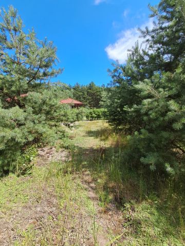 Działka budowlana Nowe Prażuchy Bielawy. Zdjęcie 4