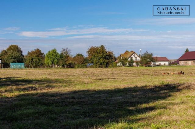 Działka budowlana Nieciecza. Zdjęcie 12
