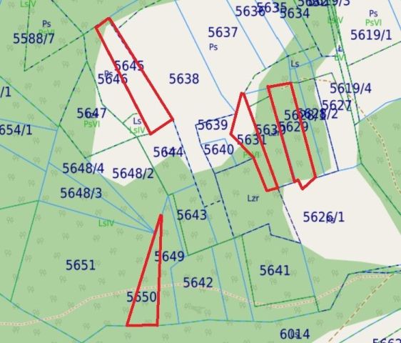 Działka leśna Lipowa. Zdjęcie 1