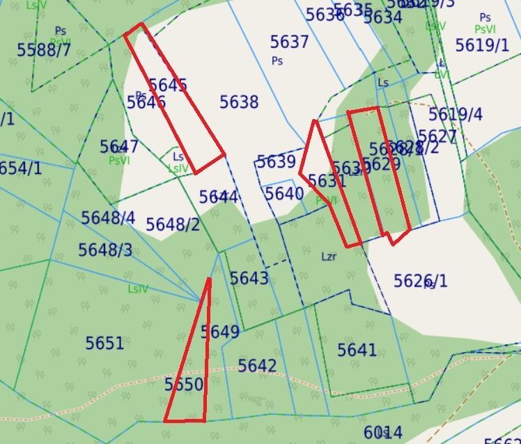 Działka leśna Lipowa. Zdjęcie 1