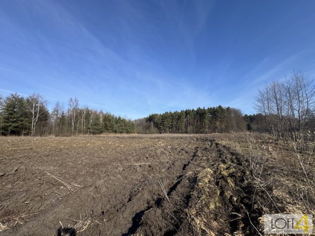 Działka rolno-budowlana Smyków. Zdjęcie 9