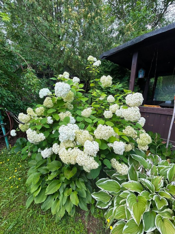 dom wolnostojący, 2 pokoje Komorów, ul. Turystyczna. Zdjęcie 10