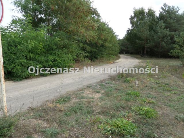 Lokal Koronowo. Zdjęcie 31