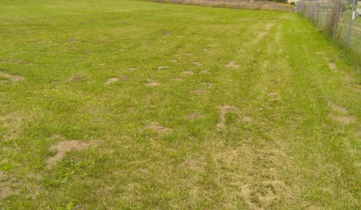 Działka budowlana Miłomłyn, ul. Wrzosowa