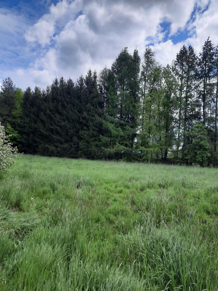 Działka budowlana Komarno. Zdjęcie 8