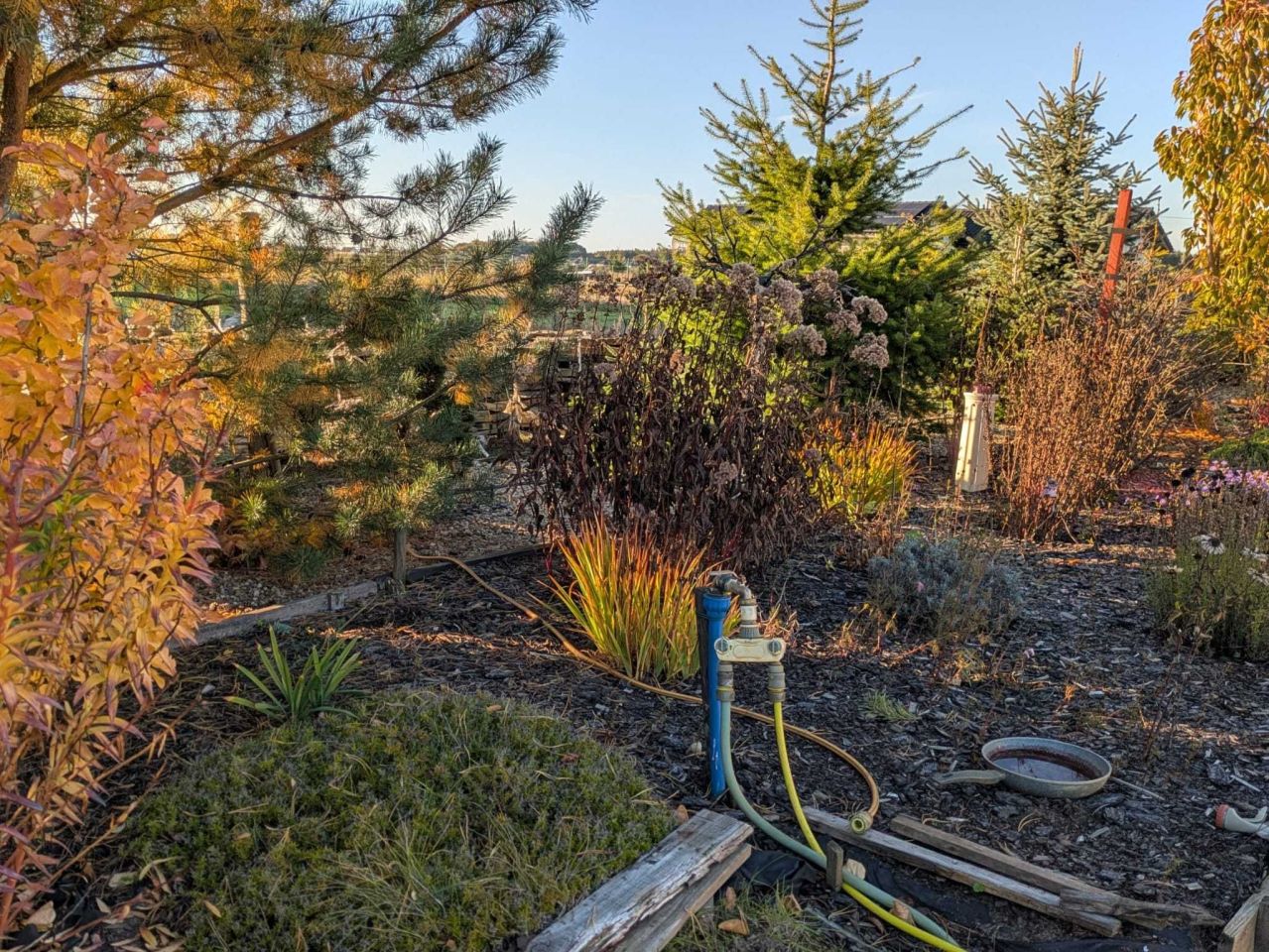 dom wolnostojący Krzekotówek. Zdjęcie 2