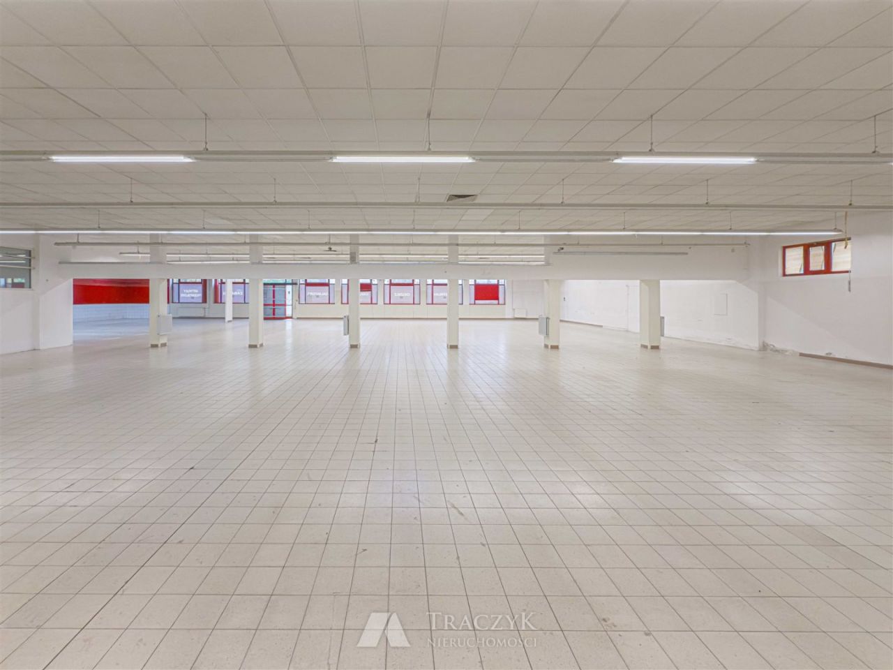 Hala/magazyn Dzierżoniów, ul. Parkowa. Zdjęcie 5