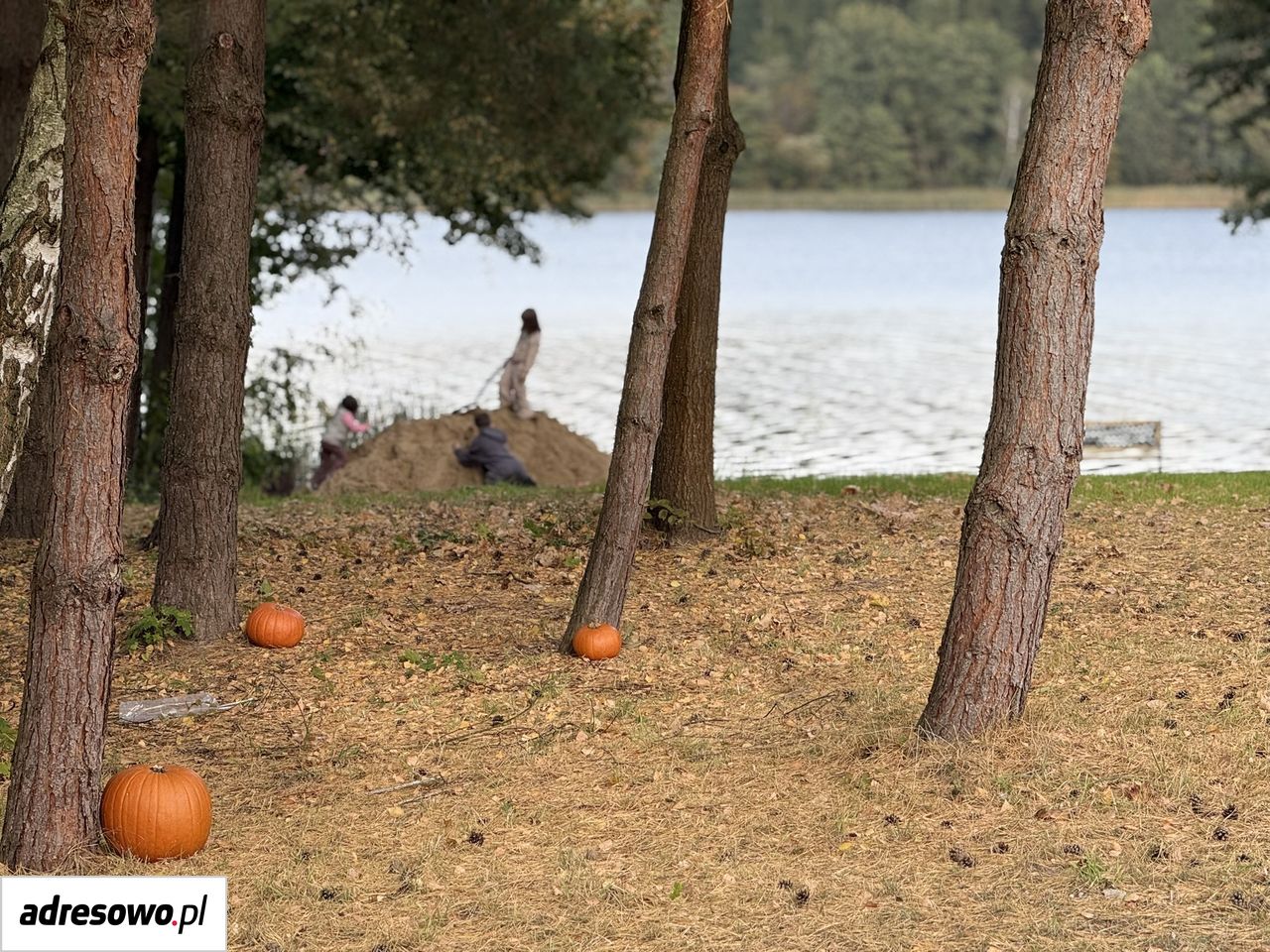 dom wolnostojący, 9 pokoi Wądzyn. Zdjęcie 19