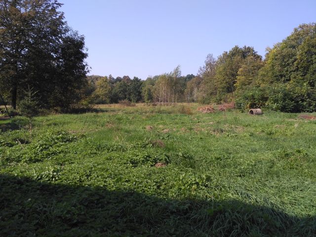 Działka rolno-budowlana Wrocanka. Zdjęcie 1