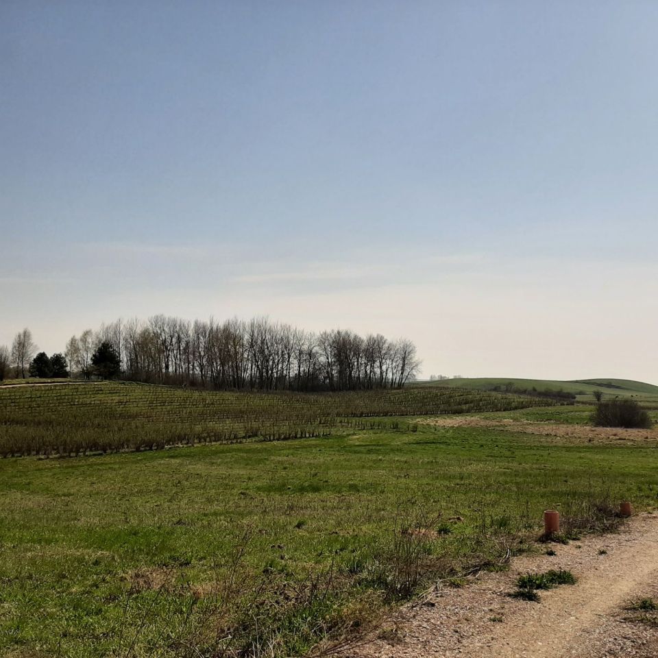 Działka rolno-budowlana Lauda. Zdjęcie 4