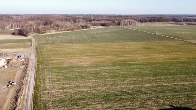 Działka budowlana Lutynia, ul. Leśna. Zdjęcie 1
