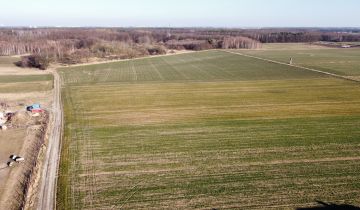 Działka na sprzedaż Lutynia ul. Leśna 900 m2