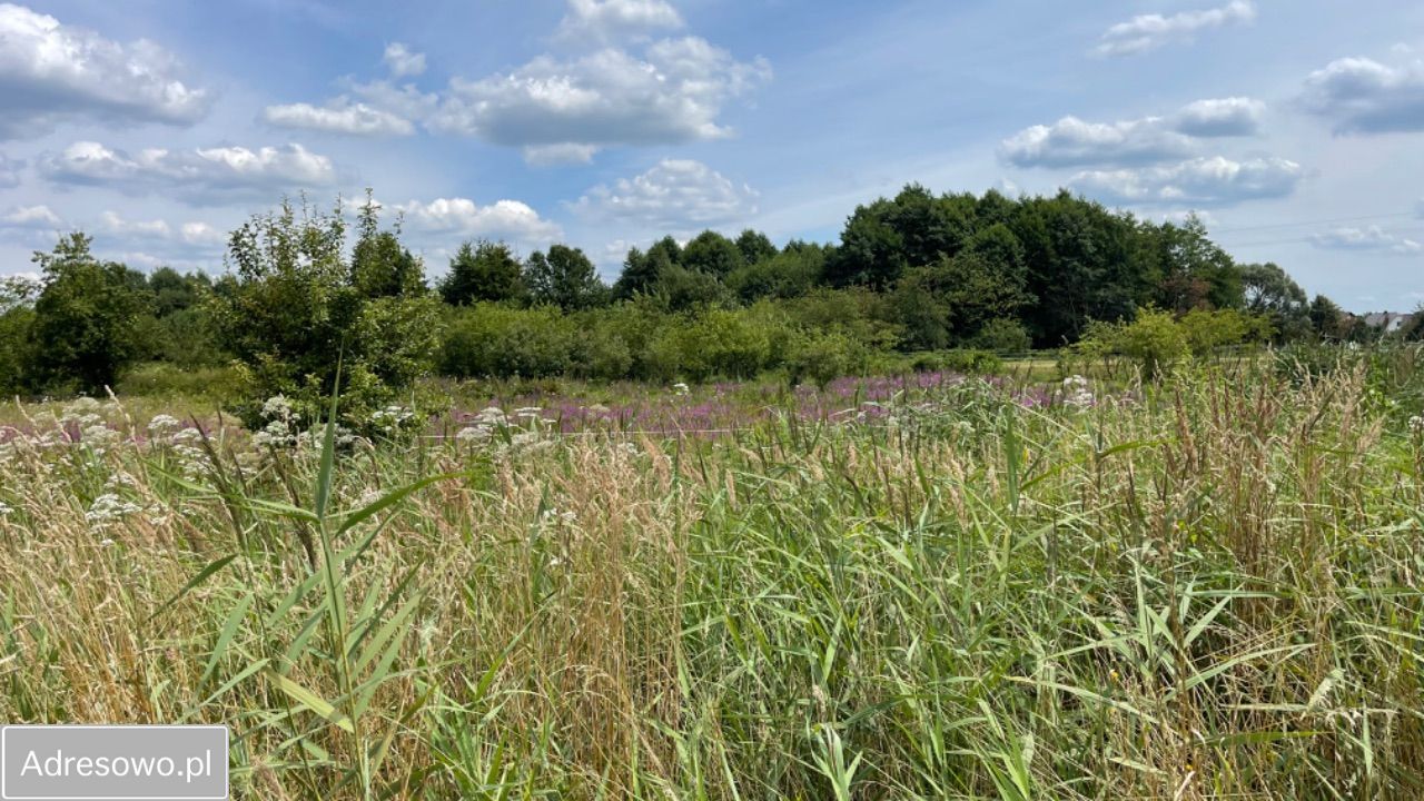 Działka budowlana Żarki, ul. Zawiszy. Zdjęcie 3