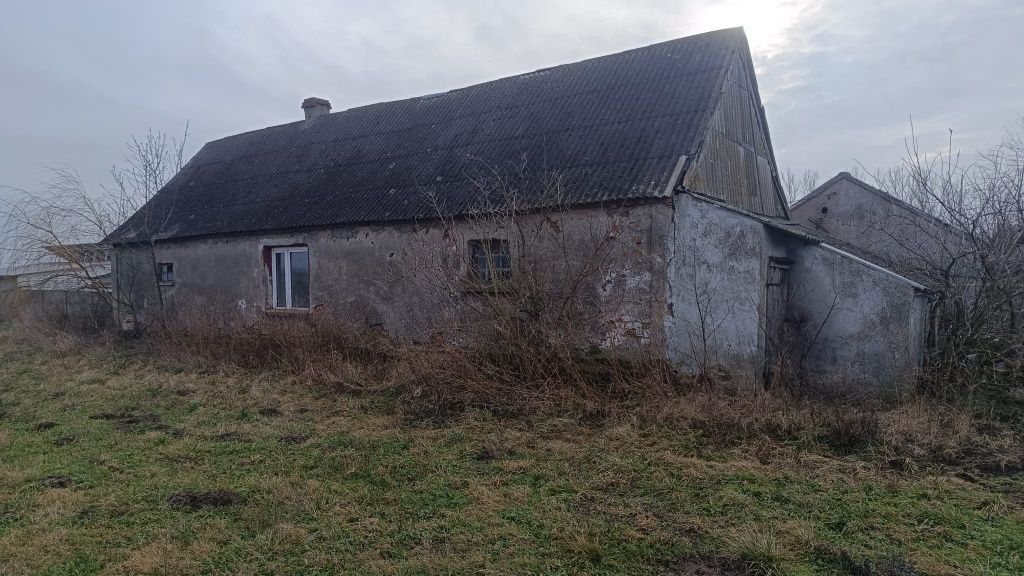 dom wolnostojący Wiśniewa-Kolonia. Zdjęcie 6