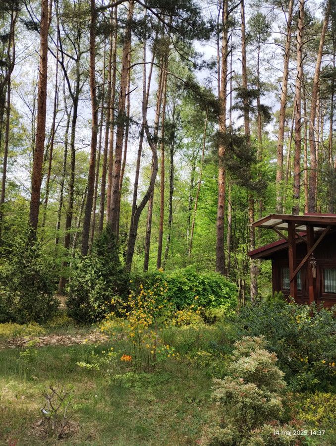 Działka budowlana Zofiówka, ul. Cienista. Zdjęcie 19