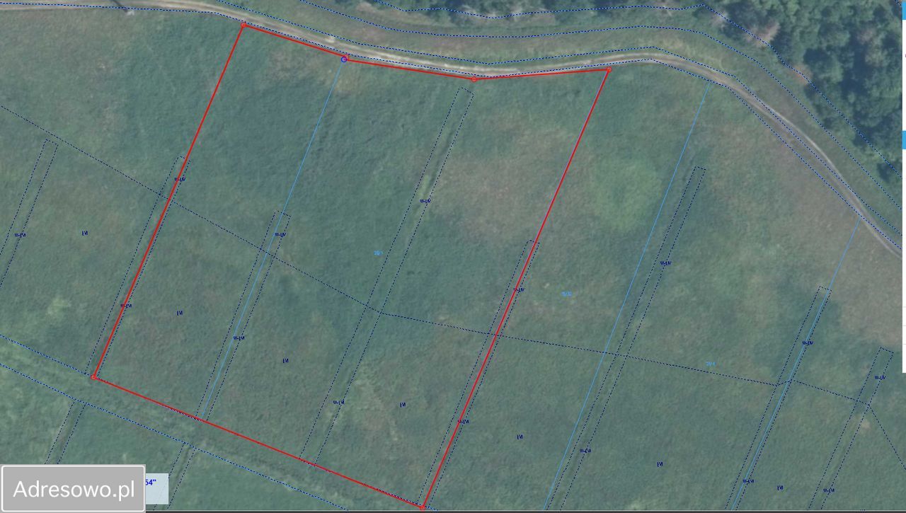 Działka rolna Różnowo. Zdjęcie 3