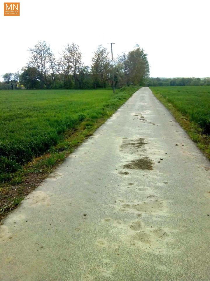 Działka siedliskowa Piotrowice. Zdjęcie 4
