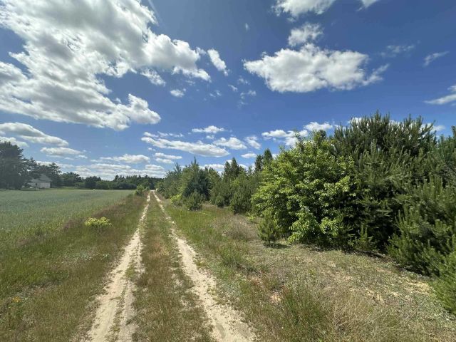 Działka budowlana Zenonów. Zdjęcie 1