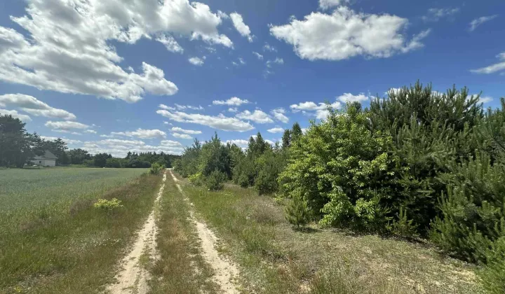 Działka budowlana Zenonów