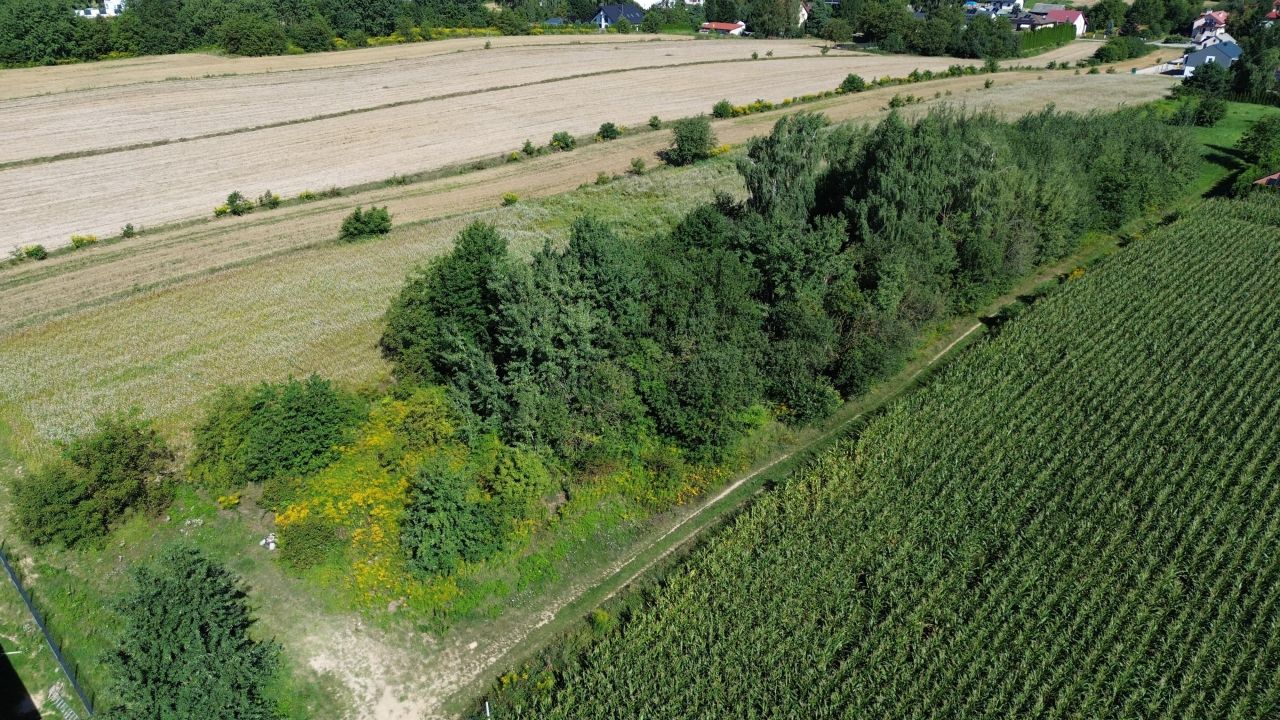 Działka budowlana Szerokie. Zdjęcie 9