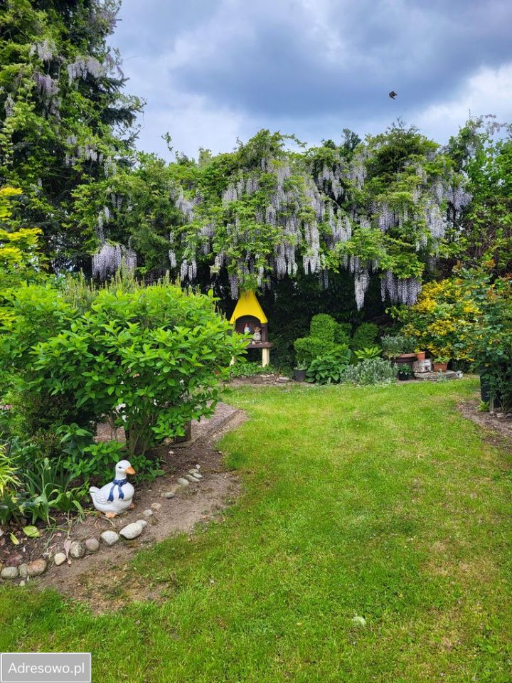 dom wolnostojący, 3 pokoje Dąbrówka Morska. Zdjęcie 9