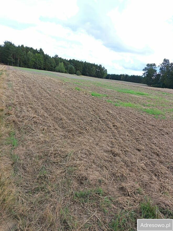 Działka budowlana Łęg Ręczyński. Zdjęcie 2