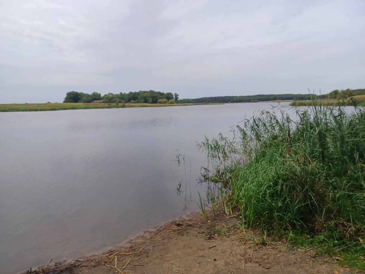 Działka budowlana Drzązna