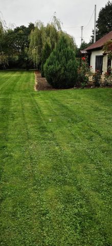 Działka siedliskowa Siemienice. Zdjęcie 1