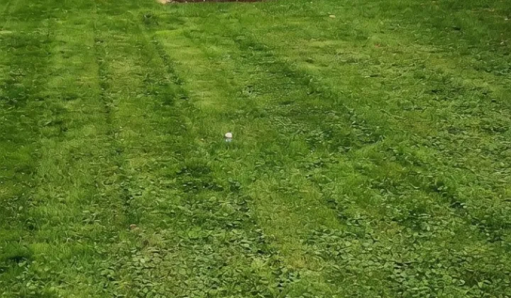 Działka siedliskowa Siemienice