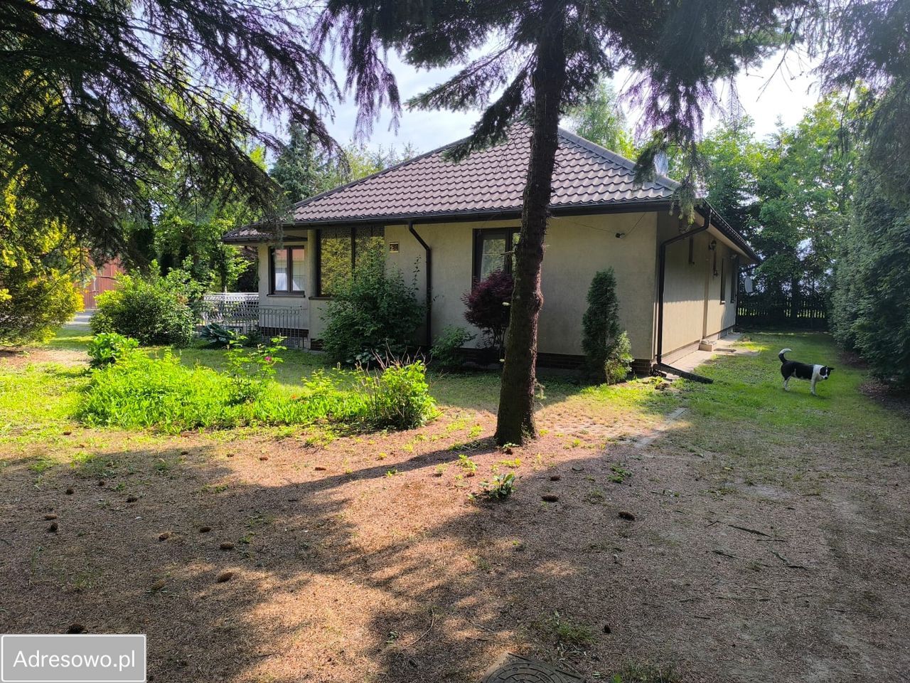 dom wolnostojący, 4 pokoje Czerniewice. Zdjęcie 1